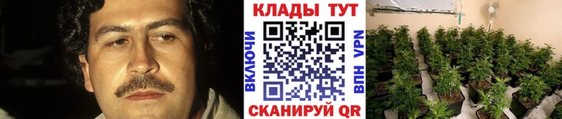 МЕФ Берёзовский